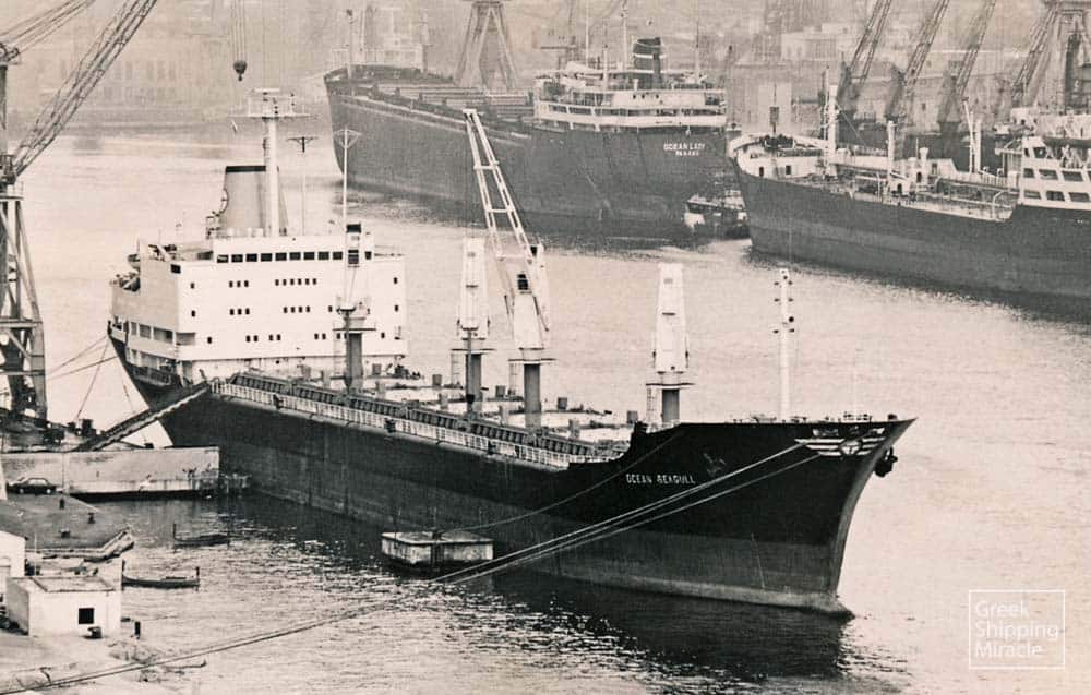 551_OCEAN_SEAGULL_1980_mcmillan