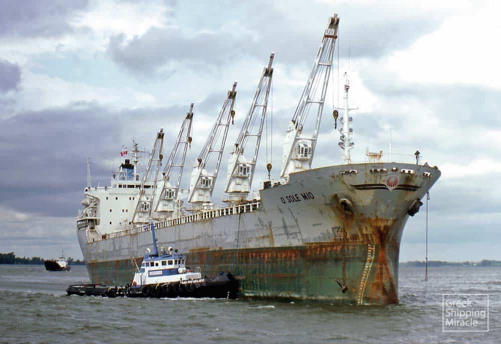 555_O_SOLE_MIO_1980_brzoza